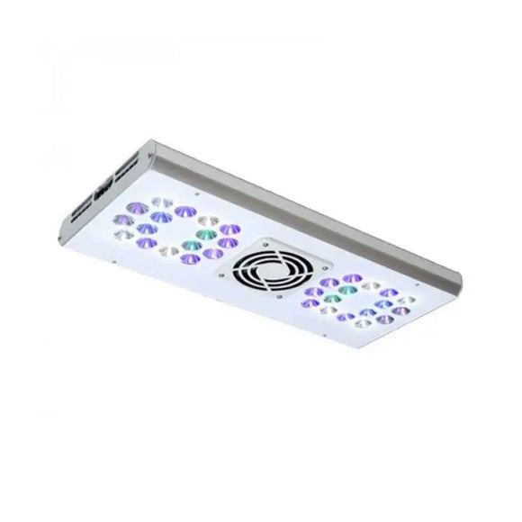 (USATO) HM illuminazione led - Grassy core 148 W